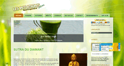 Desktop Screenshot of developper.lesintuitions.com